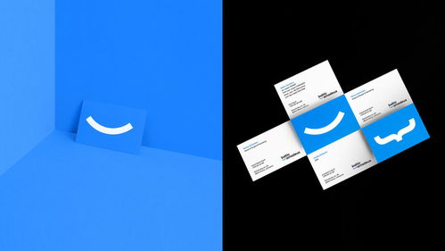 數字時代的匠心融合 Baltic Amadeus 定制軟件開發公司品牌形象設計解析